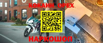 гашик Аргун