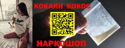 гашик Аргун