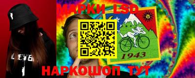 гашик Аргун