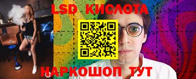 гашик Аргун