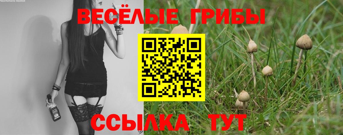 Галлюциногенные грибы мухоморы  Вход с VPN  Балабаново 